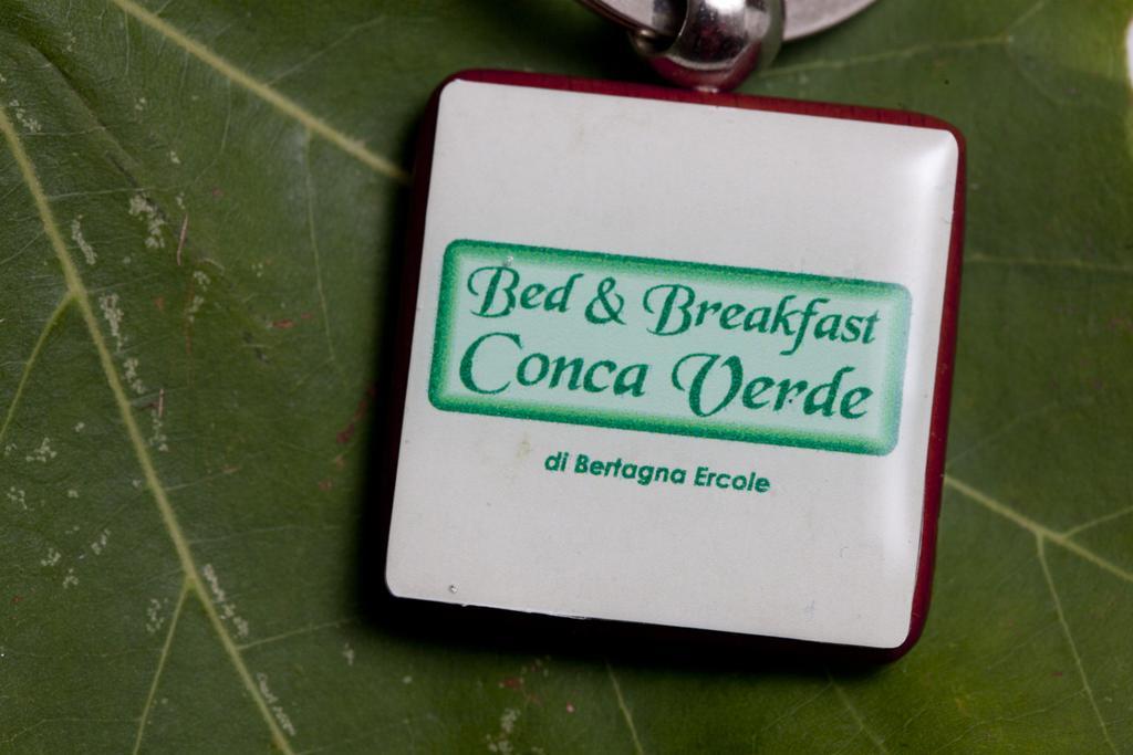 Bed & Breakfast Conca Verde Cavriana Extérieur photo